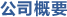 公司概要