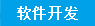 软件开发